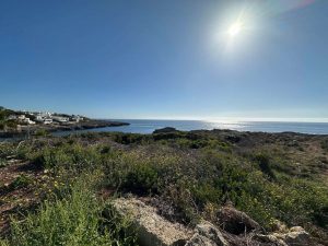 Endless Blue Horizons