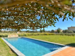 A Private Outdoor Oasis