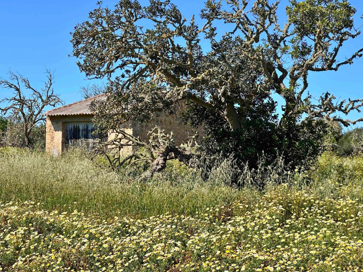 An Exceptional Country Estate