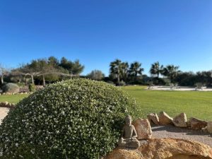 Mediterranean Garden Retreat
