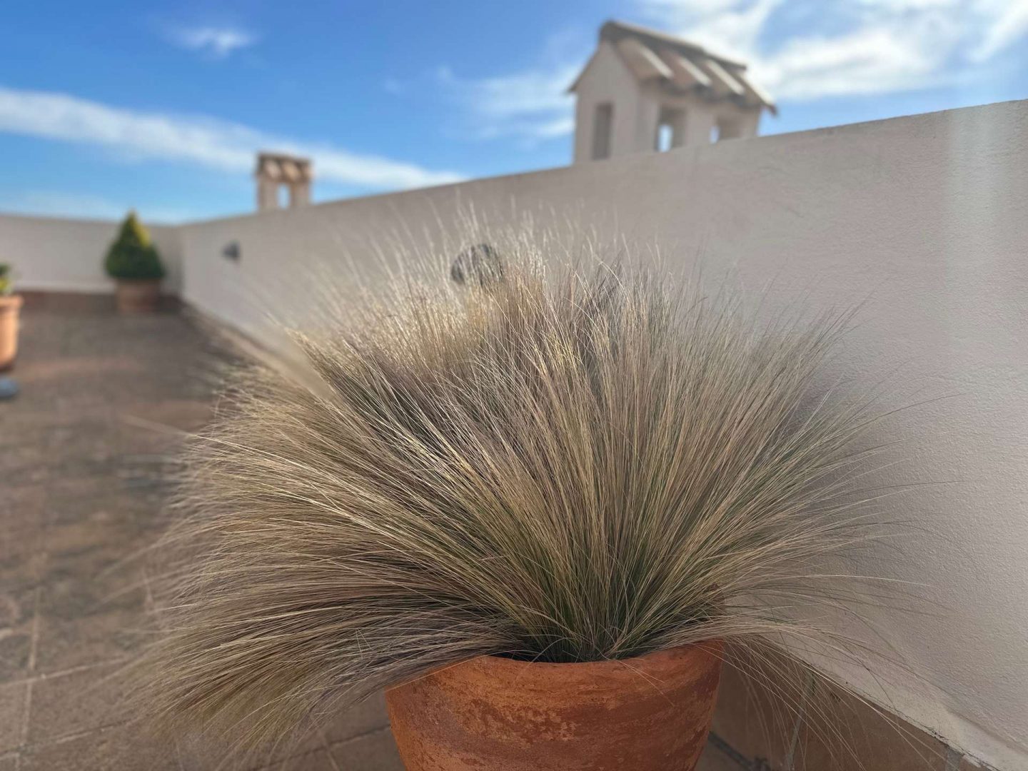 A Touch of Nature