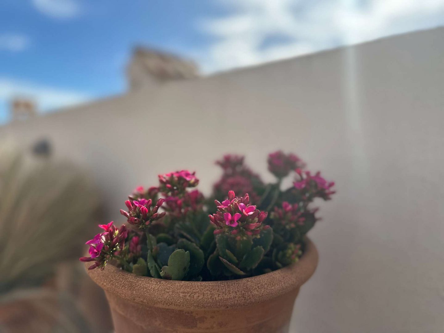 A Touch of Nature