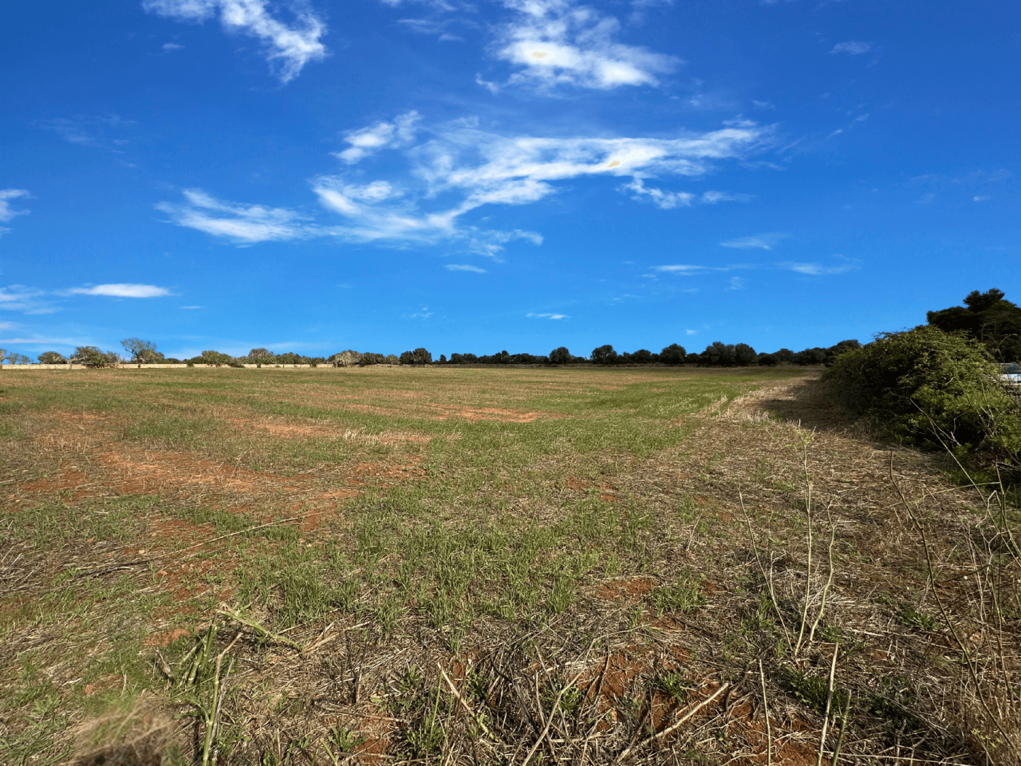 Between Santanyí and the Sea