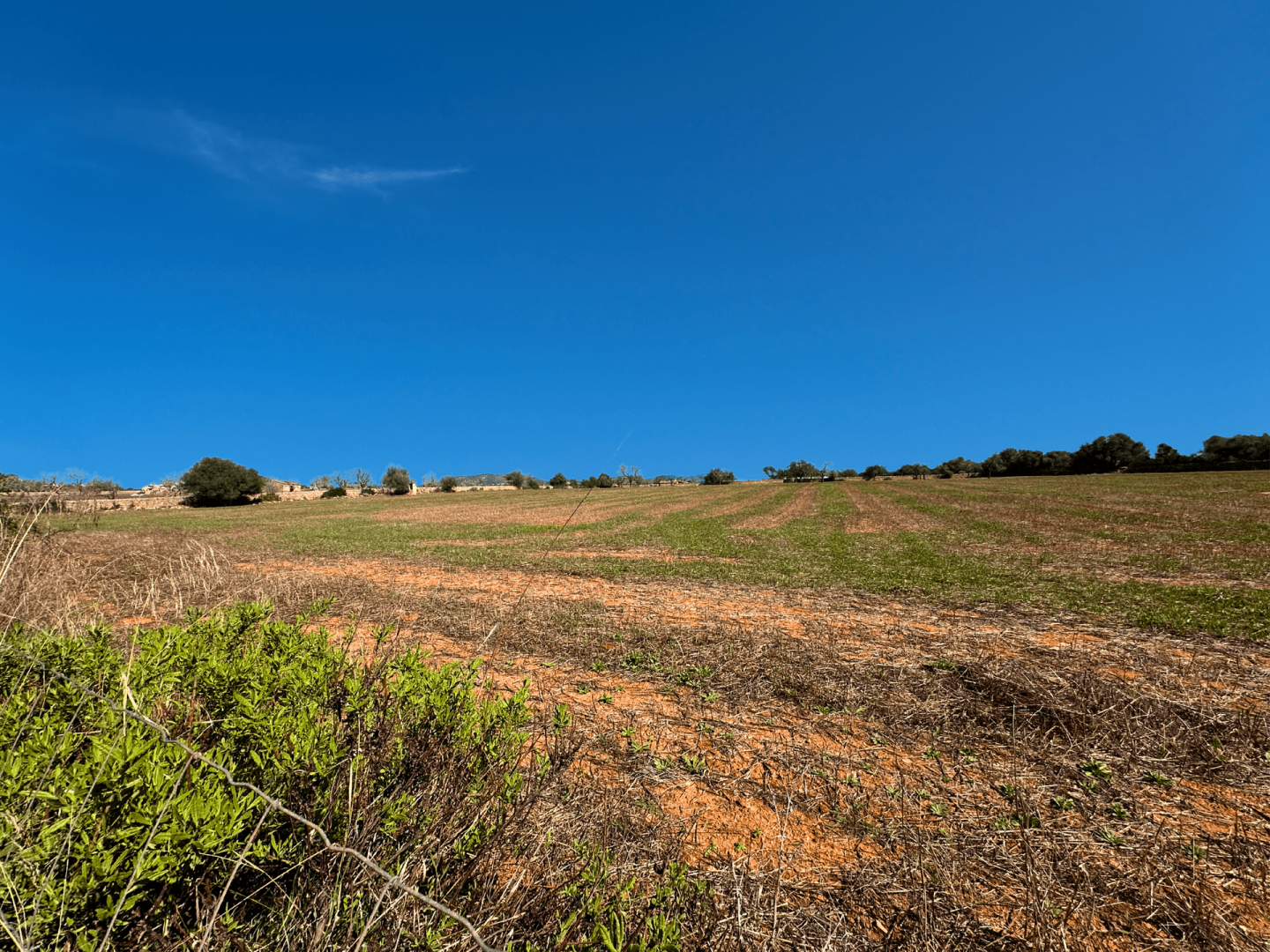 Between Santanyí and the Sea