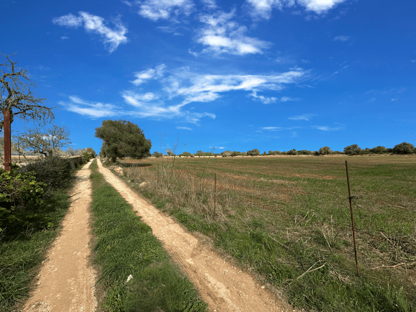 Between Santanyí and the Sea
