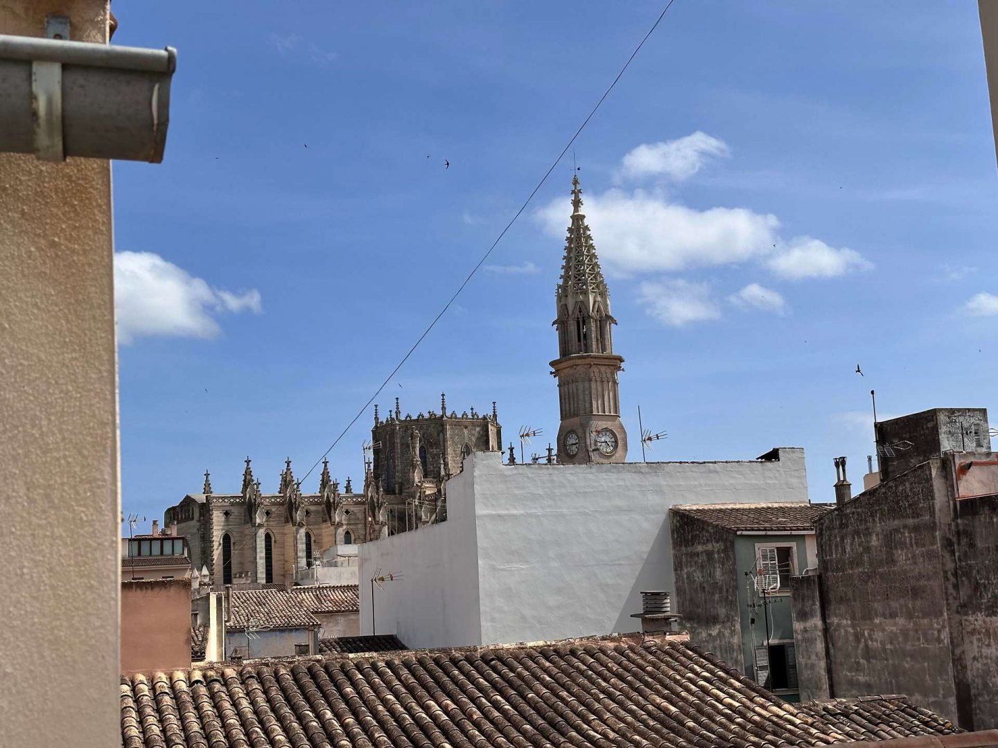 A New Perspective Over Manacor