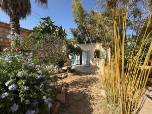 Your Own Peaceful Garden Escape