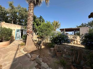 Your Own Peaceful Garden Escape