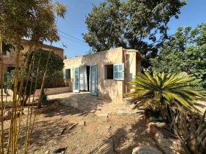 Your Own Peaceful Garden Escape