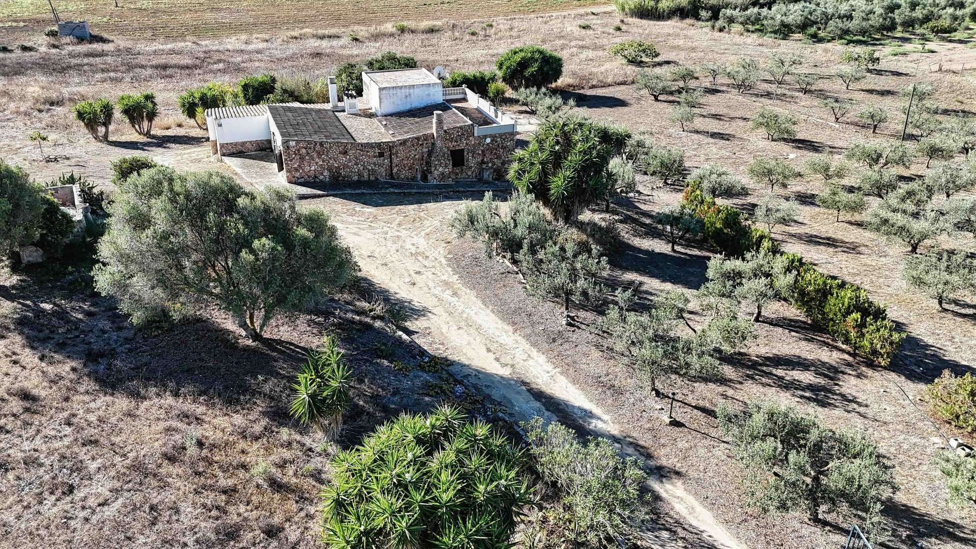 A finca with room to grow