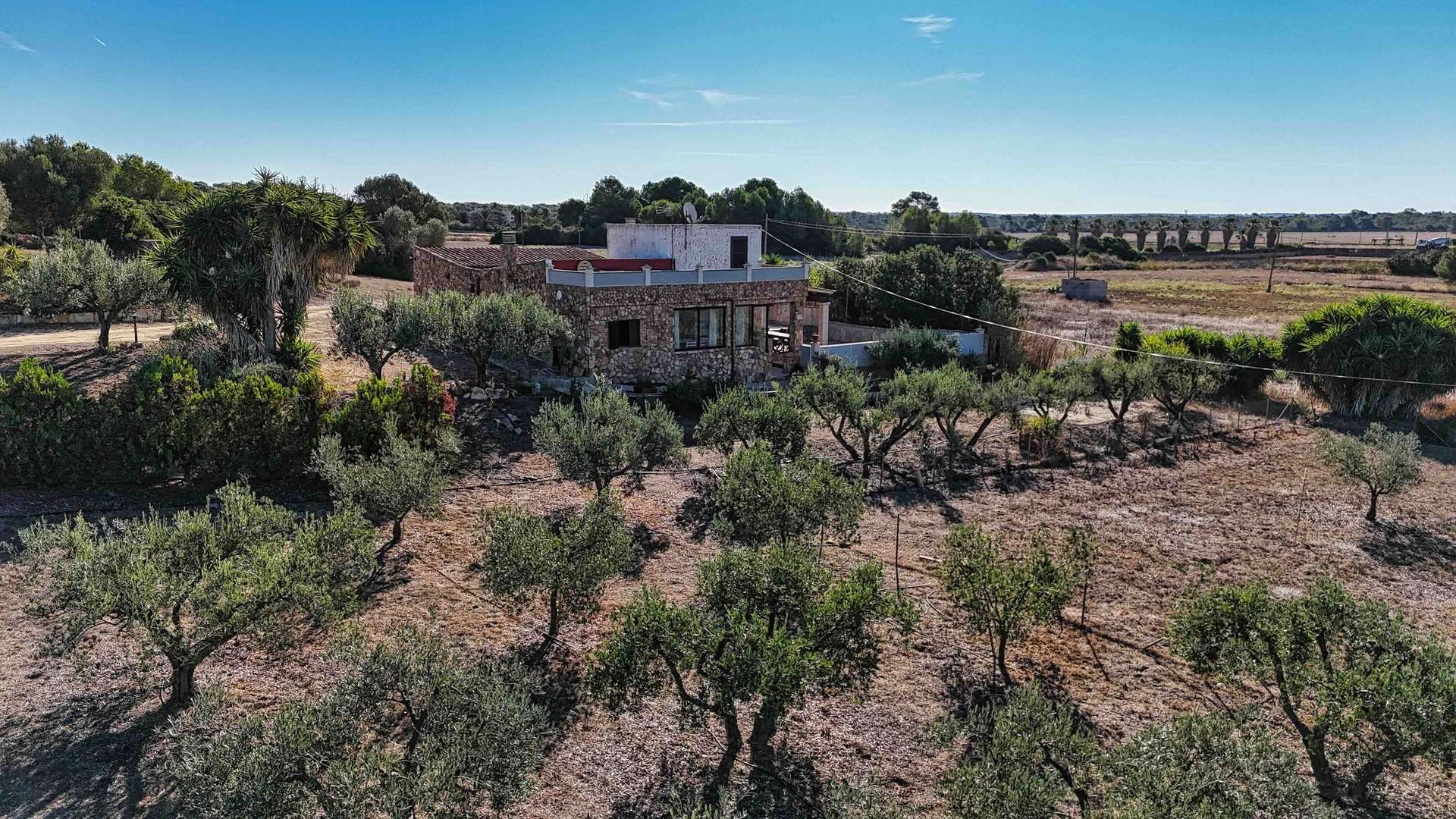 A finca with room to grow
