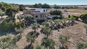 A finca with room to grow