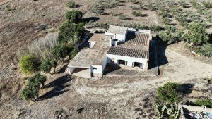 A finca with room to grow