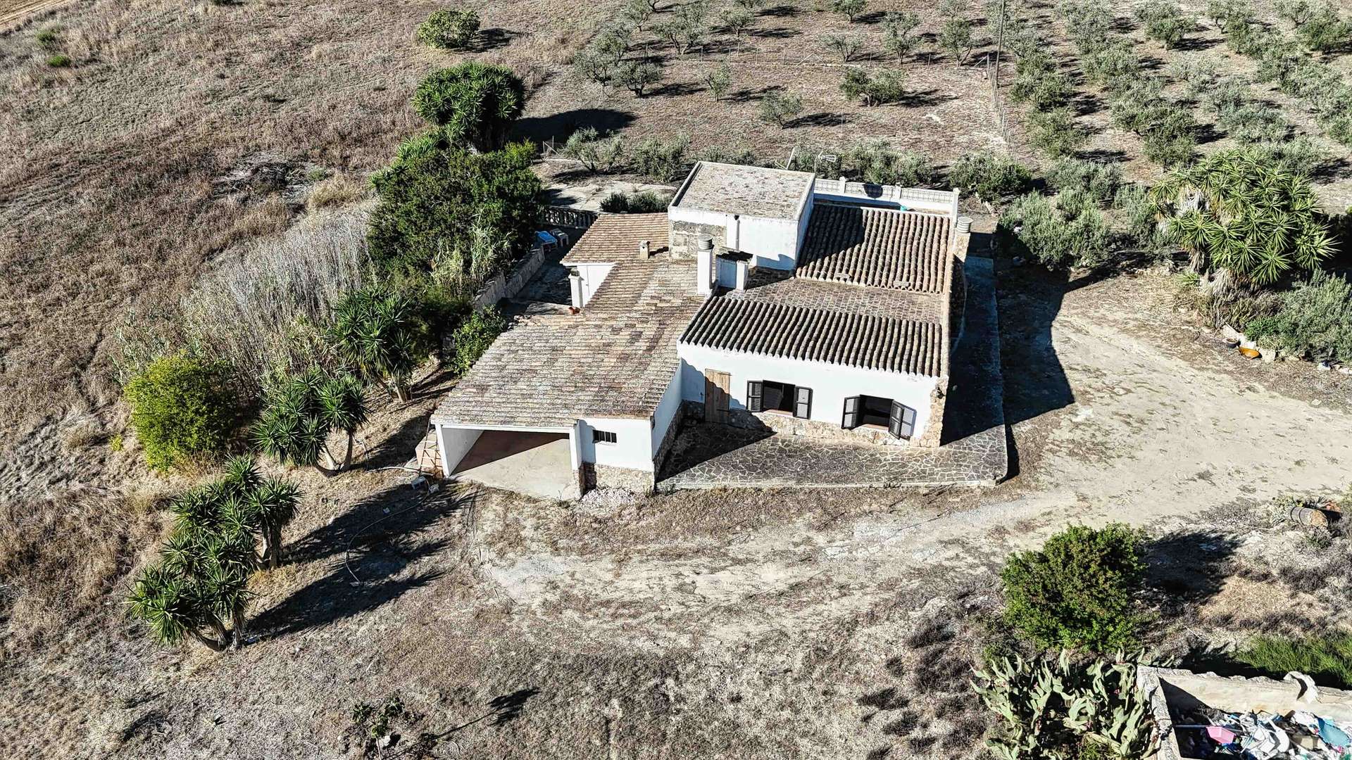 A finca with room to grow