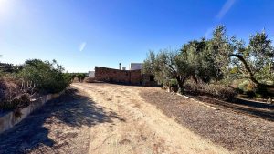 A finca with endless possibilities.
