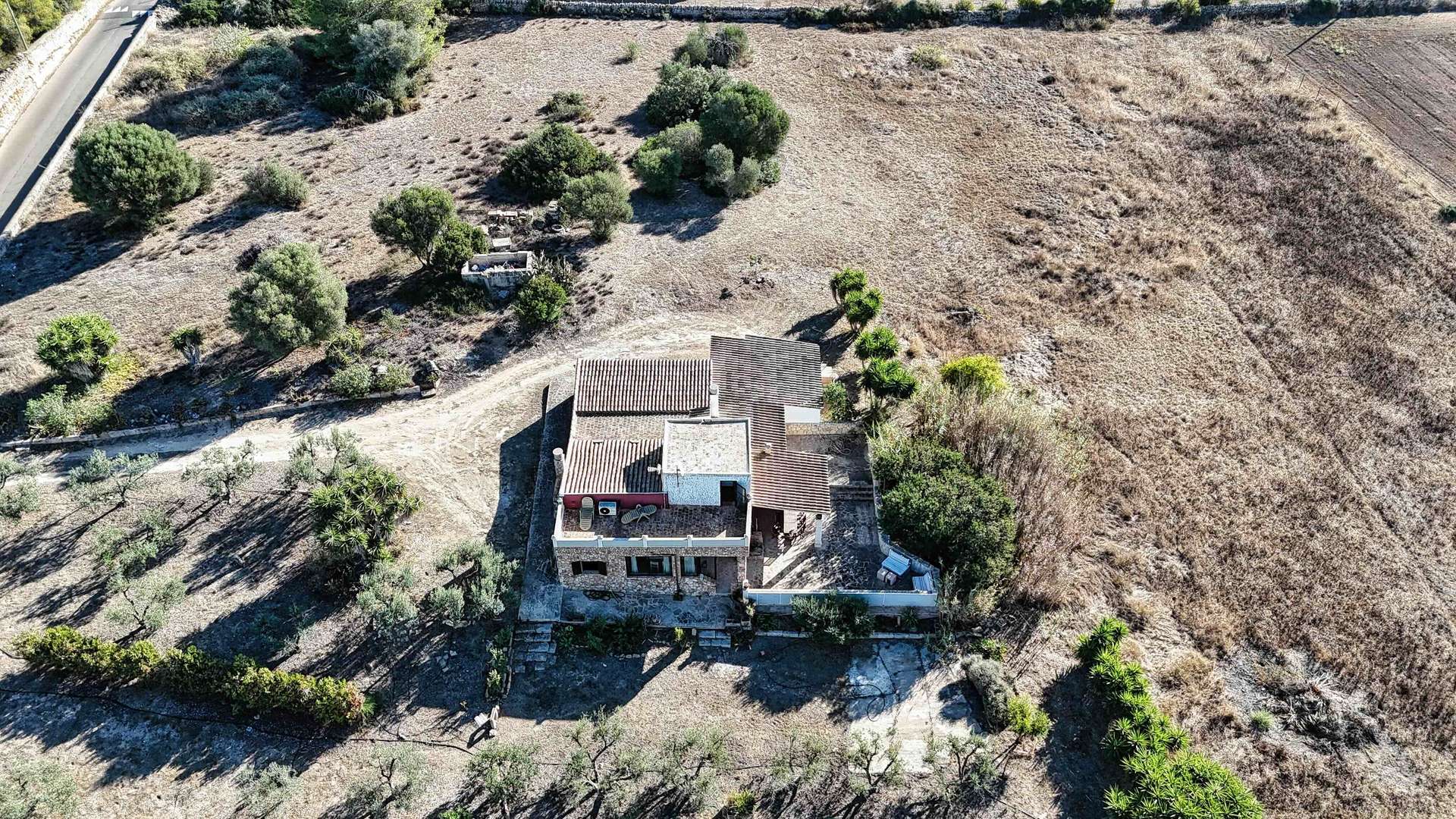 A finca with room to grow